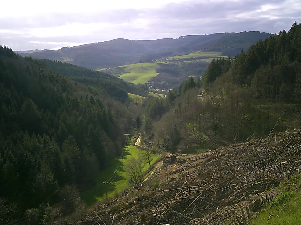 Forêt de Pramenoux et vallée d’Azergues depuis la montée ouest du col de la Croix-Montmain
